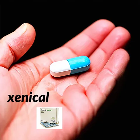 Precio de las pastillas xenical de roche